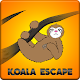 Download Hungry Koala Escape For PC Windows and Mac 1.0.0