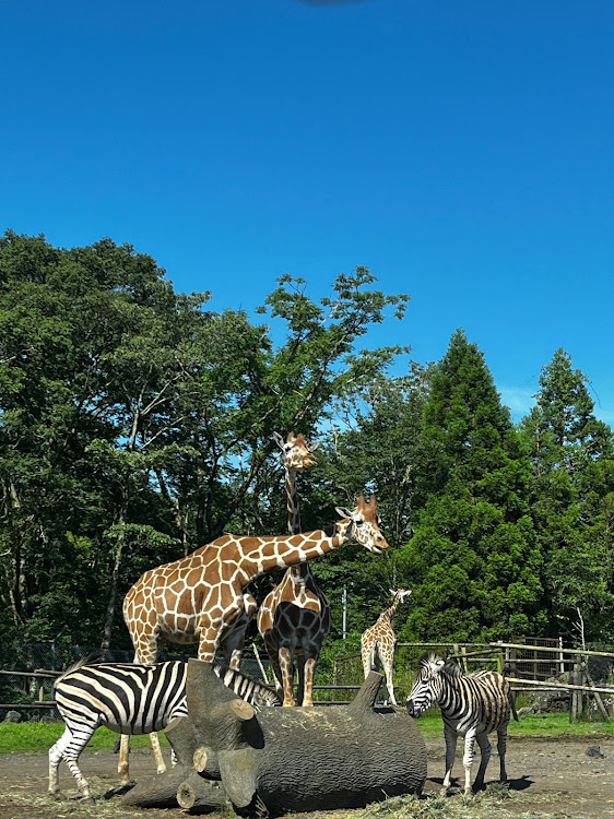 の投稿画像5枚目