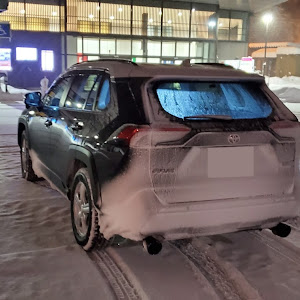 RAV4