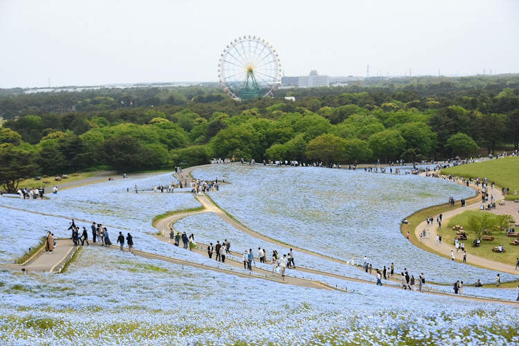 の投稿画像16枚目