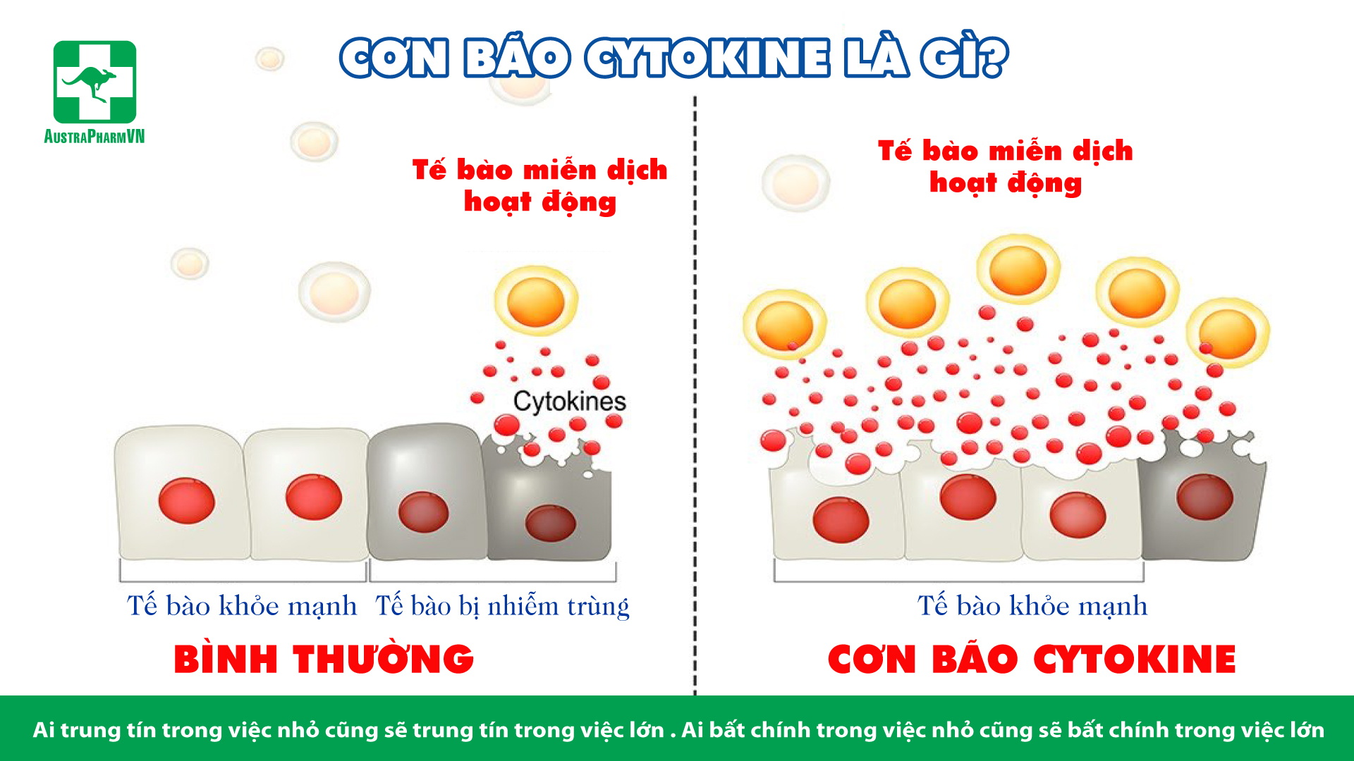 HIỂU VỀ CƠN BÃO CYTOKINE TRONG COVID-19 