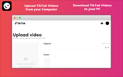 Web for TikTok