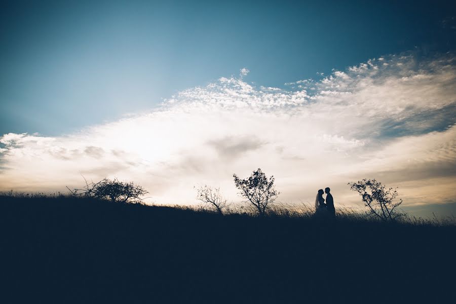 Photographe de mariage Ekaterina Vashneva (katevashneva). Photo du 2 mai 2016