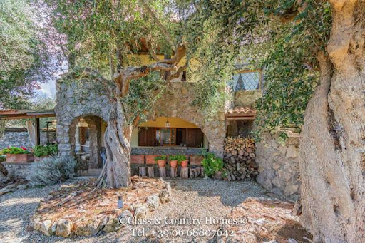 Villa en bord de mer avec jardin 5