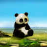 Panda Live Wallpaper icon