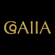 GAIIA:銀飾專賣店 Download on Windows