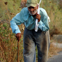 Passeggiata di 