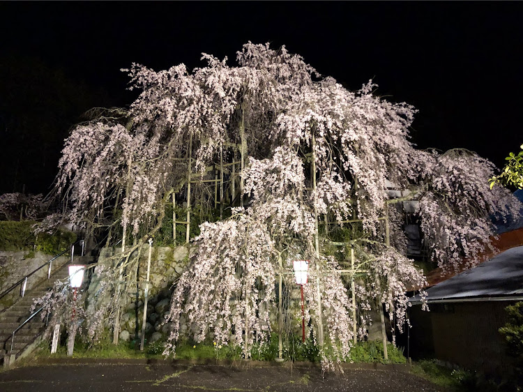 の投稿画像3枚目