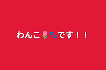 わんこ🌷🐾です！！