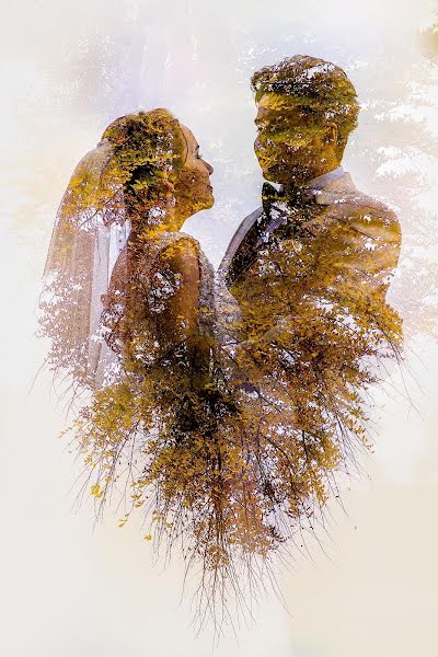 Wedding photographer Dan Suciu (dansuciu). Photo of 31 January 2019