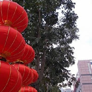 鼎泰豐