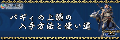 バギィの上鱗