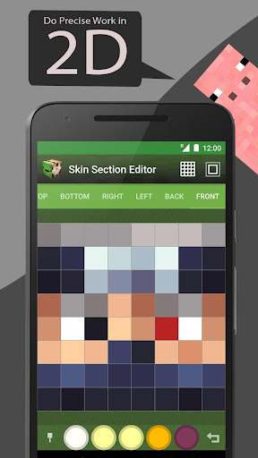Skin Editor Tool for Minecraft (Mod Money)