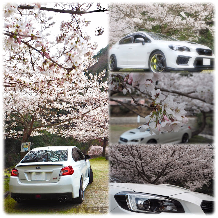 WRX STIの桜・満願・西国三十三所・ワークエモーション・T5R2Pに関するカスタム事例の投稿画像4枚目