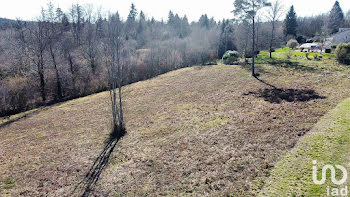 terrain à Royères (87)