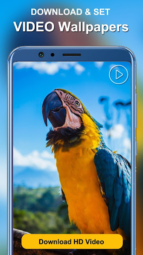 HD Walls Pro - Live Wallpapers  Backgrounds 4K/3D