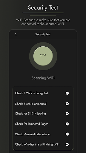 Screenshot Router Admin DNS Setup