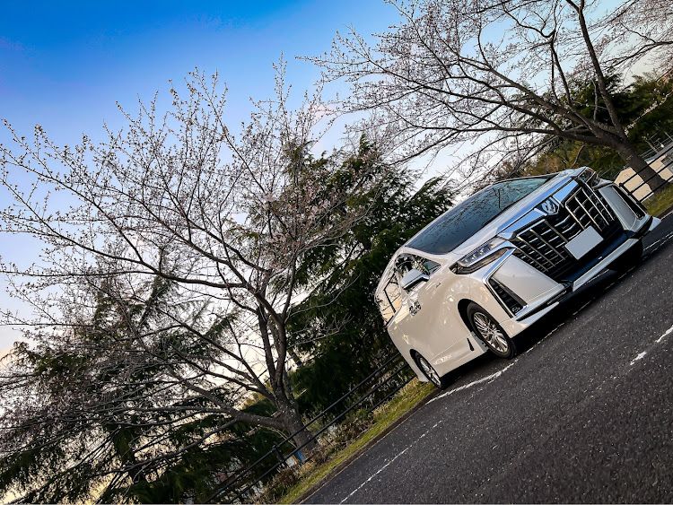 アルファードの夏タイヤに交換・桜とコラボ・サクラと愛車・コンテナコラボ・盗難情報に関するカスタム事例の投稿画像1枚目