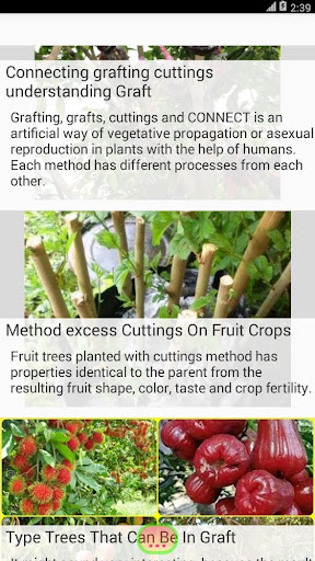 how to grafting plants