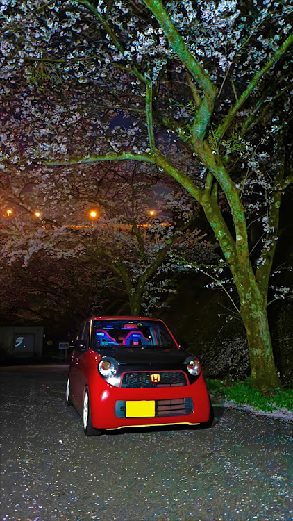 N-ONEのトラブル・桜と愛車・桜コラボ・ドライブ・車高調整に関するカスタム事例の投稿画像1枚目