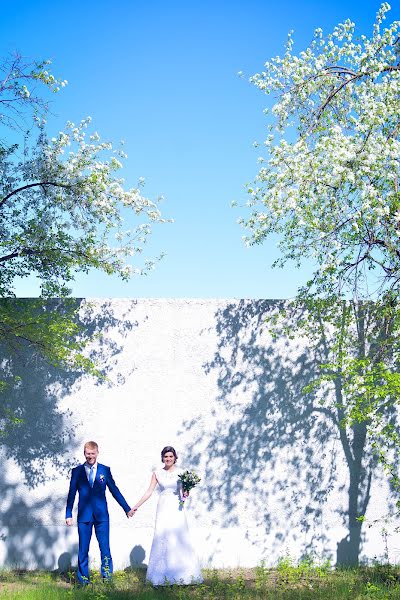 Fotografo di matrimoni Ekaterina Lushnikova (fotokarpik). Foto del 25 gennaio 2016