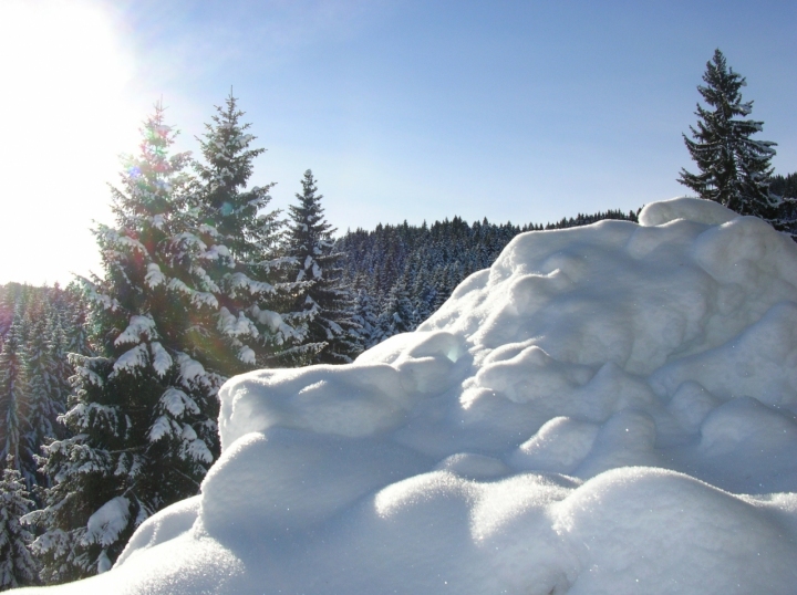 Polvere...di neve di Giulia P.