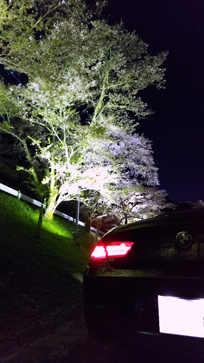 6シリーズ グランクーペのbmw・BMW6シリーズ・BMW640iグランクーペ・夜桜🌸・水上村に関するカスタム事例の投稿画像1枚目