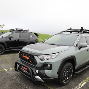 RAV4 MXAA54