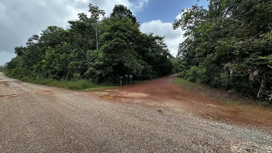 Vente terrain  10000 m² à Cayenne (97300), 46 900 €