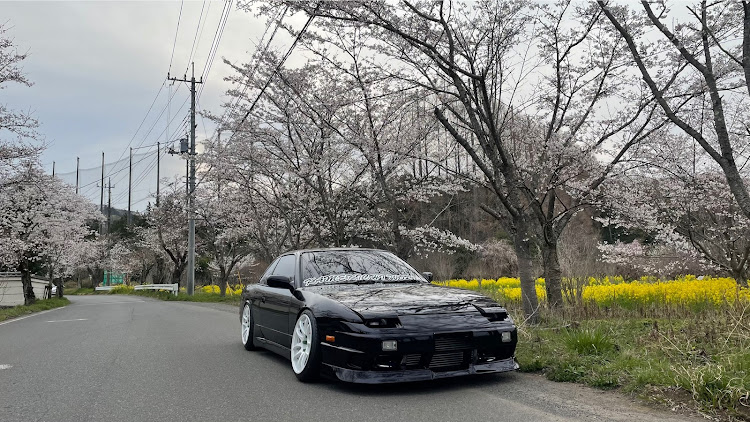 シルビアのS13・おっぱい・桜・花見・ワンビアに関するカスタム事例の投稿画像1枚目