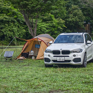 X5 xDrive 35d