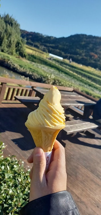 コペンのドライブ・館山城・おさかな倶楽部・#チバフォルニアに関するカスタム事例の投稿画像14枚目