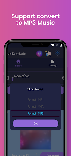 Screenshot Downloader for Smule 2023