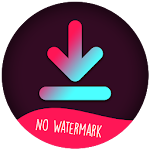 Cover Image of Download Video & Music Downloader For TikTok No Watermark 1.0.1 APK