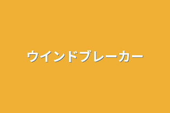 ウインドブレーカー