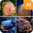 Fish identifier icon