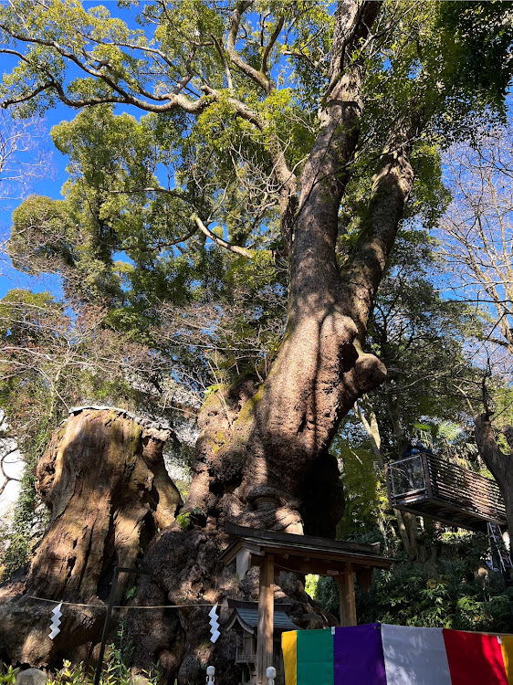 スープラの本年もどうぞ宜しくお願い致します。・來宮神社・アイスグレーメタリック・大人シンプルスタイルに関するカスタム事例の投稿画像7枚目
