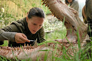 Natalie Portman as biologist Lena in 'Annhilation'.