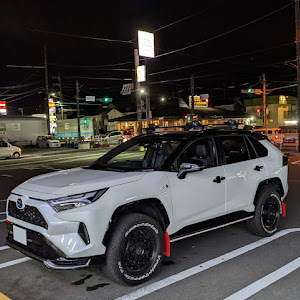 RAV4 AXAP54