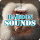 Download Baboon Sounds Audio Ringtone For PC Windows and Mac 6.0.0