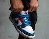 parra x nike sb dunk low pro