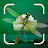 Insect Spider & Bug identifier icon