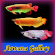 Download Arwana Gallery For PC Windows and Mac 1.4