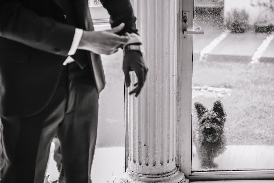 Fotógrafo de bodas Miriam Romero (auraconceptovis). Foto del 9 de noviembre 2019