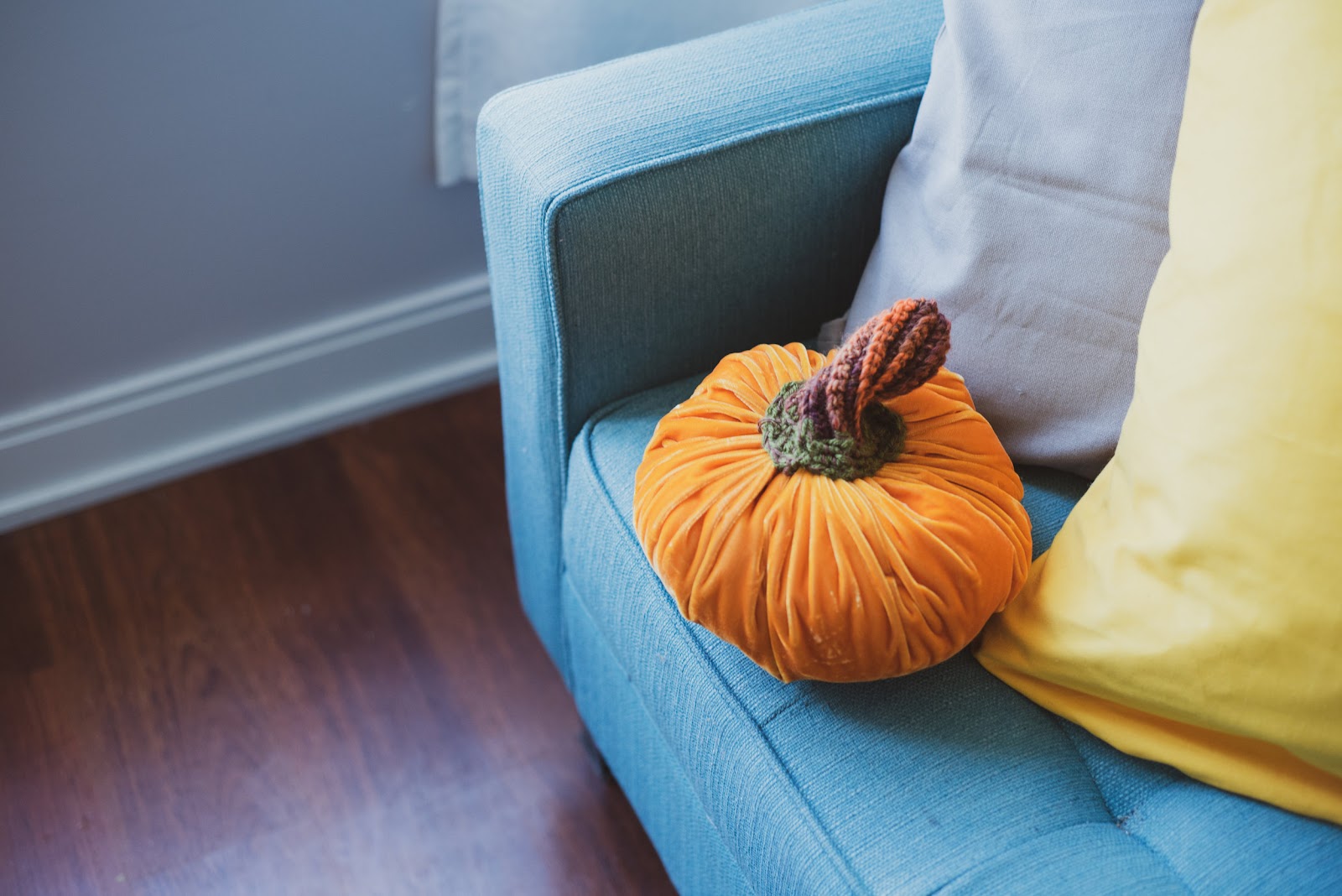 lily-muffins-velvet-pumpkin-on-blue-couch.jpg