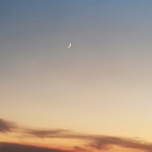 まな