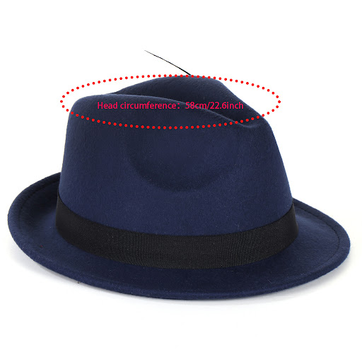 Title 8, Fashion Mens And Womens Woolen Feather Hat