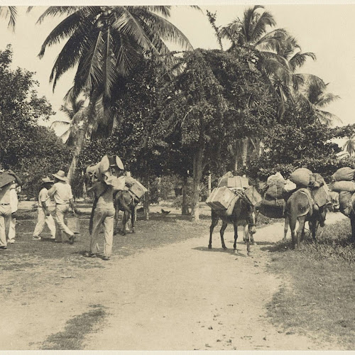 Mula transport, Hendrik ter Keurs, 1936 - 1937 - Rijksmuseum