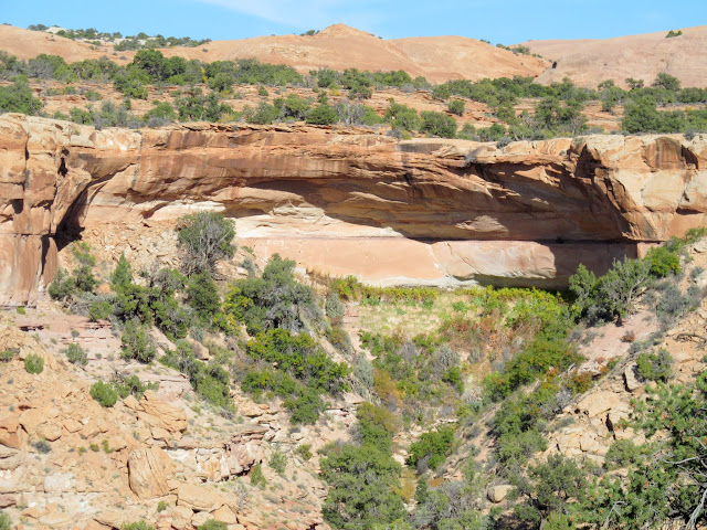 Seep below a large overhang