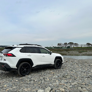 RAV4 MXAA54